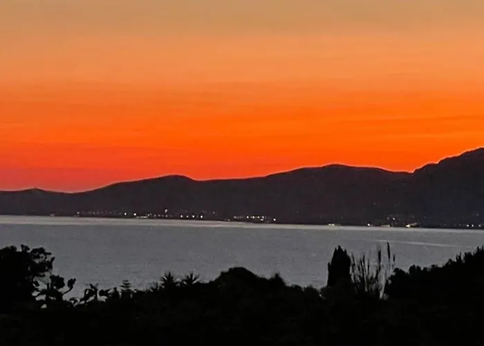 Thamyris Porticcio Ajaccio Corse Grosseto-Prugna